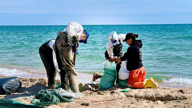 Около 5 км замазученных пляжей из 60 очистили с помощью спецтехники на Кубани