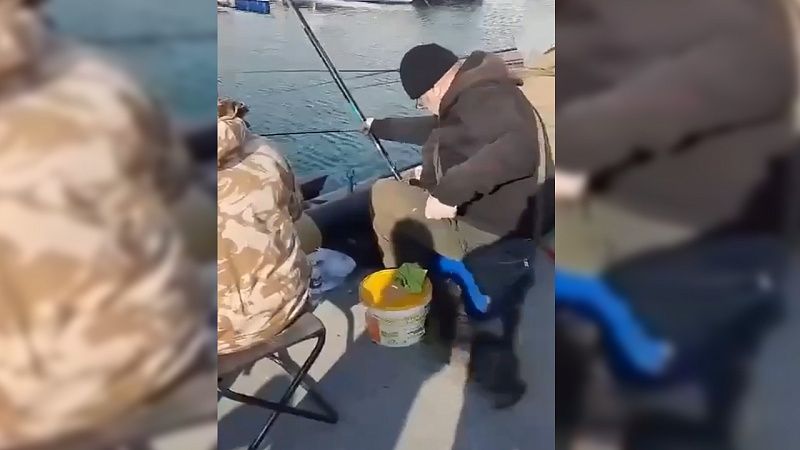 Кот-налётчик присвоил себе улов рыбаков в Морском порту Сочи