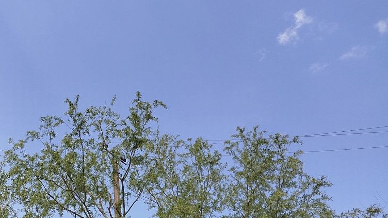 Громкий хлопок в небе 27 июля испугал жителей Ейска