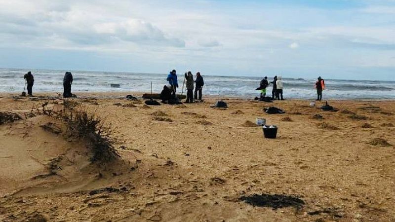 В ликвидации мазута на пляжах задействовали более пяти тысяч человек в Анапе 