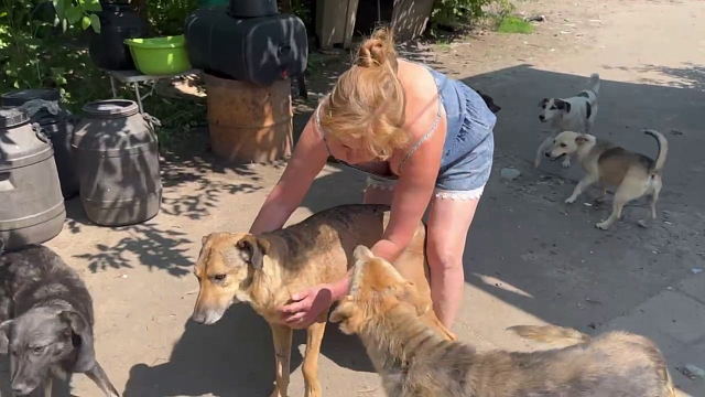 Жительница ЛНР спасла из-под обстрелов больше 400 собак. Им нужны корма и ветпрепараты