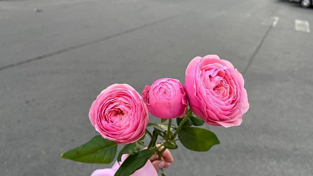 Сколько готовы потратить на подарки ко Дню учителя рассказали краснодарцы