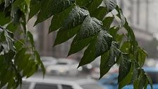 Осадки в Краснодаре не прекратятся: город накроет сильный дождь