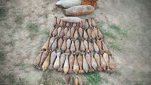 Под Крымском обезвредили 66 боеприпасов времён ВОВ, найденных в плодовом саду  