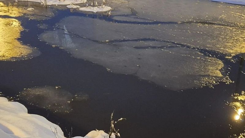 Символом боли после трагедии на Москве-реке стал детский рисунок в Звенигороде 