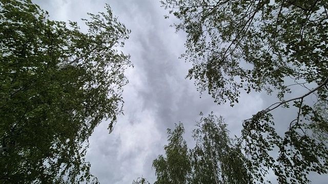 Фото: телеканал «Краснодар»