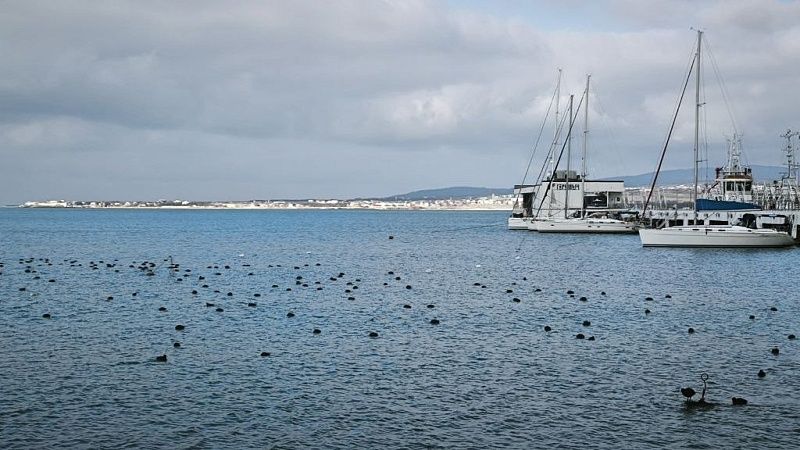 Более 400 участников присоединились к акции «Забег памяти» в Геленджике