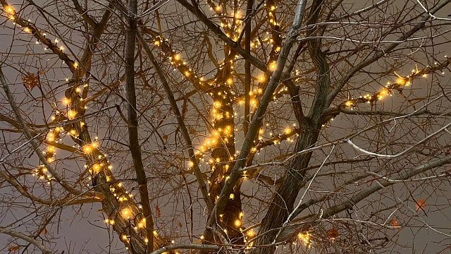 Фото: телеканал «Краснодар»