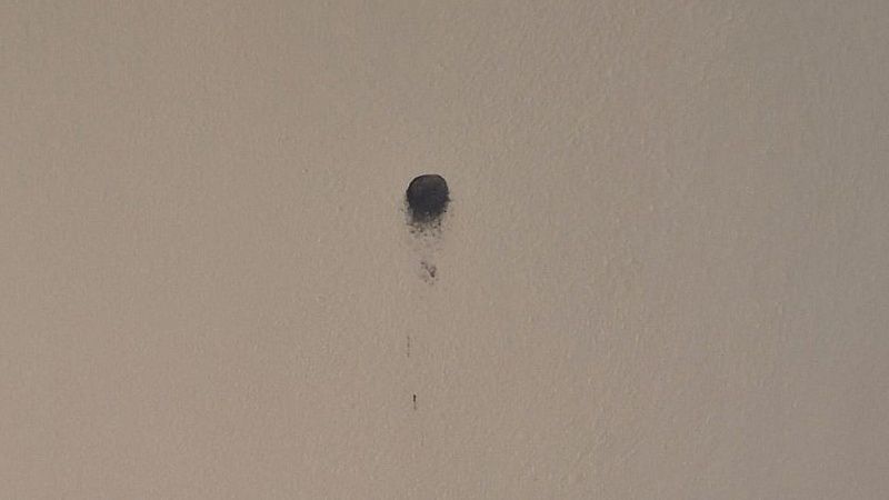 Полиция проводит проверку по факту стрельбы в отеле Краснодара