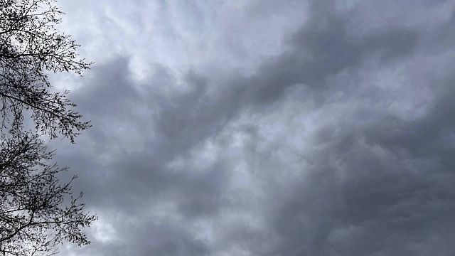 «Трезвую пробежку» пришлось отменить из-за нехватки участников в Перми