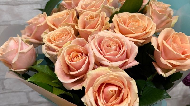 Более 380 тысяч цветов с начала года завезли из-за рубежа на Кубань