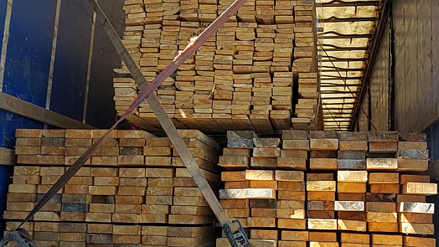 Фото: пресс-служба ГУ МВД России по Краснодарскому краю