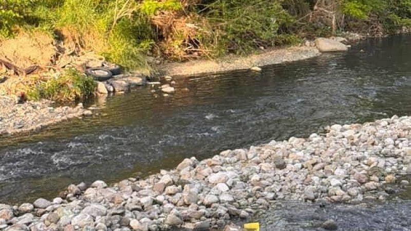 Неизвестную черную жидкость слили в реку в Лазаревском районе Сочи