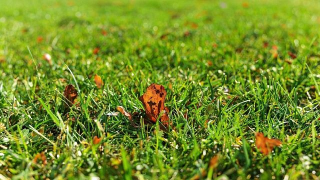 Таинственный красный шар упал с неба и испарился от воды в Болгарии