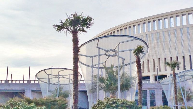 Защитные «скафандры» начали снимать с деревьев в парке «Краснодар»