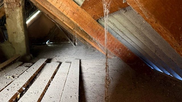 Фото: телеканал «Краснодар»