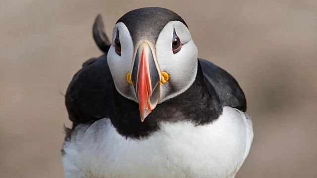 Изображение создано с помощью ИИ