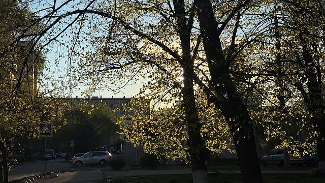 Фото: телеканал  «Краснодар»