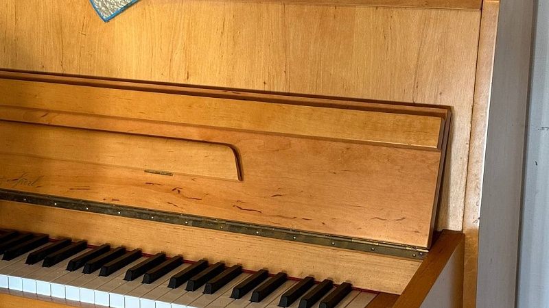 Разговоры о музыке вместо ключевой ставки завела Набиуллина на ПМЭФ