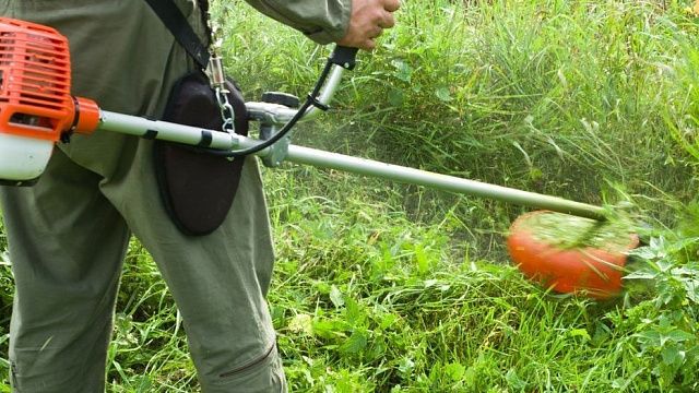 Более 3,5 тысяч гектаров амброзии и сорняков скошено в столице Кубани 