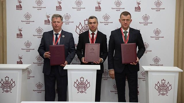 Фото: мэрия Краснодара