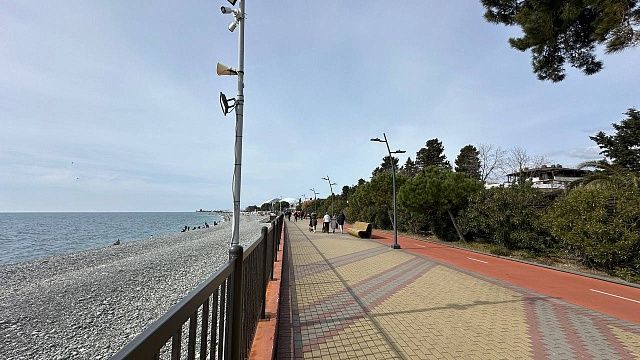 Фото: телеканал «Краснодар»