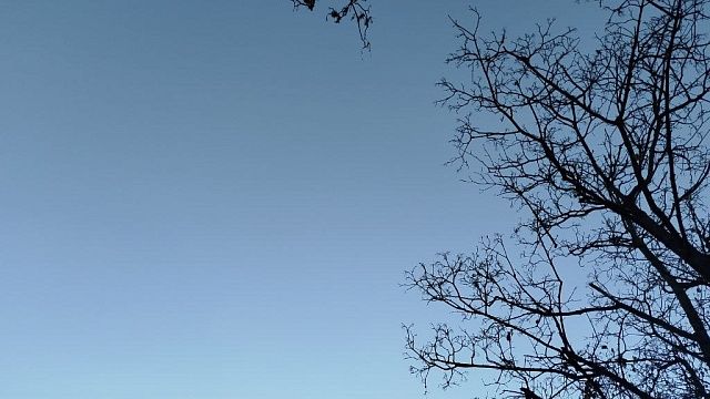 Фото: телеканал «Краснодар»