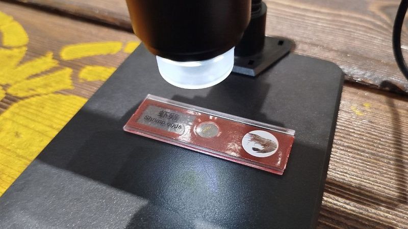 Кишечную палочку нашли в партии красной икры из магазинов Москвы