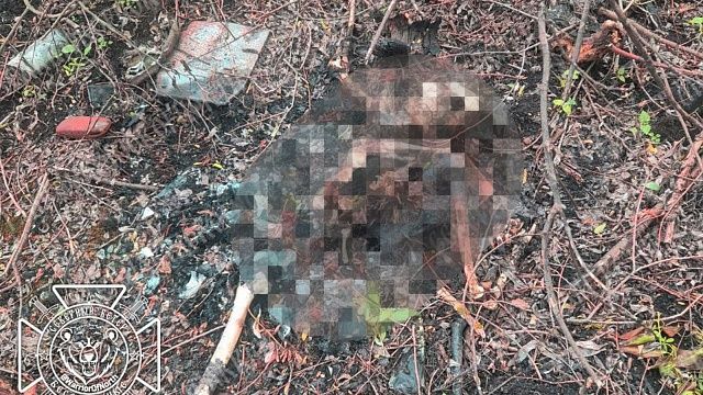 Фото: t.me/warriorofnorth