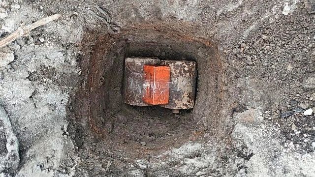 фото: ГУ Росгвардии по Краснодарскому краю