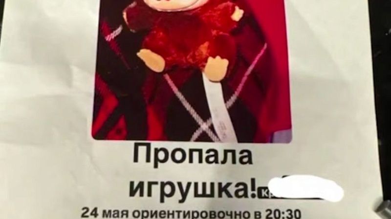 Серийный похититель кукол «Лабубу» довел до слез модниц из Москвы