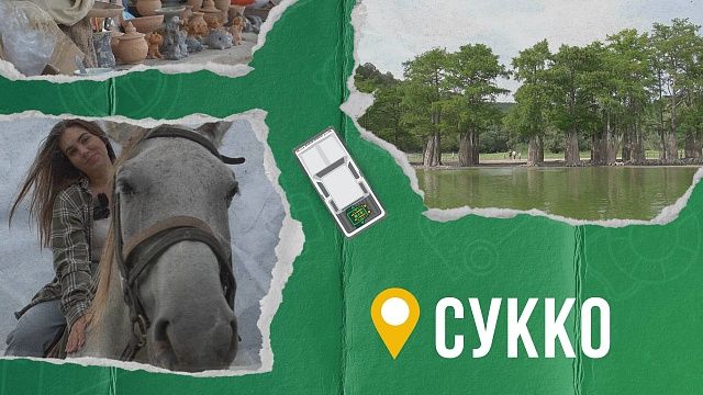 НАЛЕГКЕ – Сукко