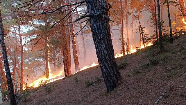 Оперштаб показал кадры лесного пожара в Геленджике
