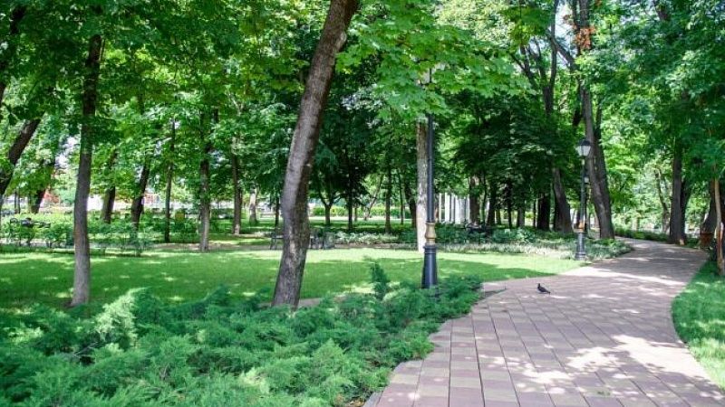 Две особо охраняемые природные территории появились в Краснодаре