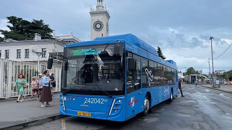 Круглосуточный автобус запустили между аэропортом и вокзалами Адлера и Сочи