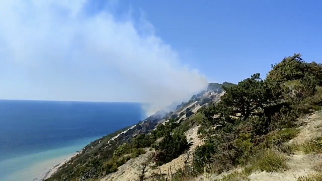 Площадь лесного пожара увеличилась до 2,5 га в Анапе