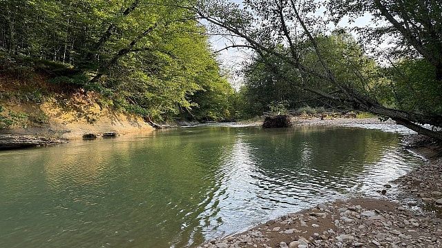 Останки съеденного крокодилом и леопардом австралопитека нашли в Кении