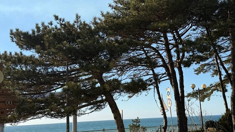 Потепление до +12 градусов вернется на Кубань 21 марта