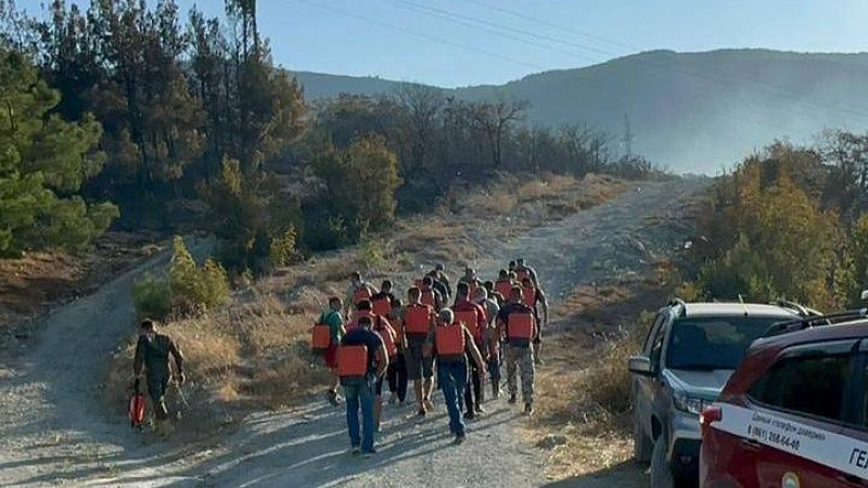 Добровольцев позвали на помощь в тушении лесного пожара под Геленджиком