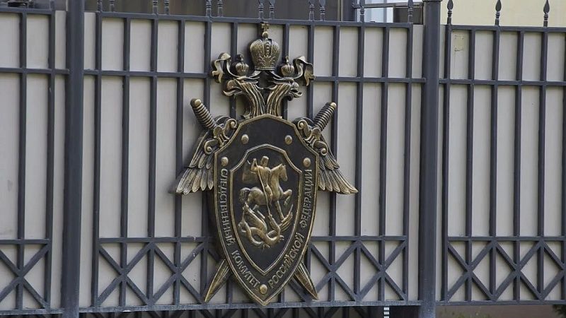 СК проверит обстоятельства смерти пассажира рейса Москва — Омск