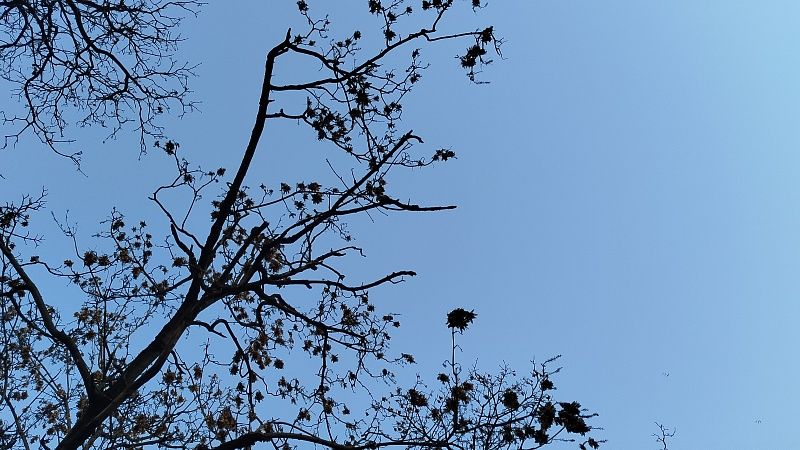 Жителей Славянска-на-Кубани напугали звуки взрывов в небе вечером 13 февраля