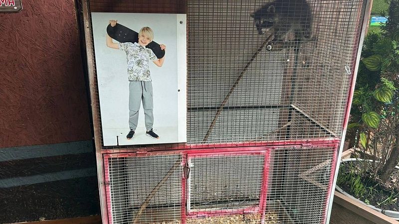 Нелегальный контактный зоопарк закрыли в Геленджике