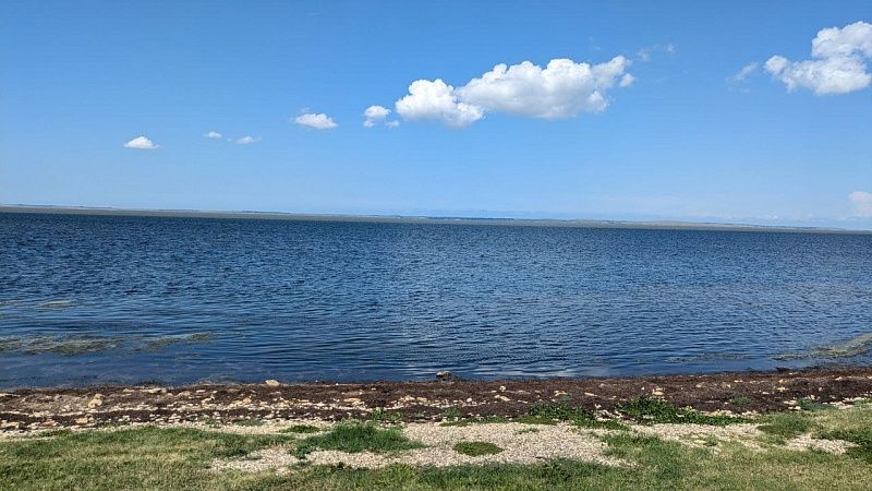 Акула откусила руки женщине в ходе фотосессии на Карибском пляже