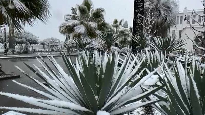 Канатную дорогу остановили из-за снегопада в «Дендрарии» Сочи