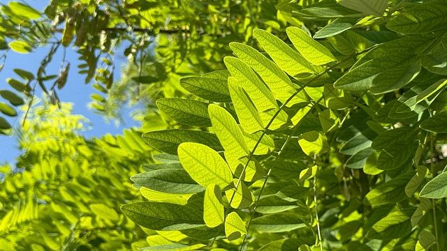 Жара до +31 градуса в тени будет 2 сентября в Краснодаре