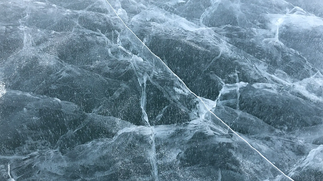 Фото: Вероника Новокрещеннова