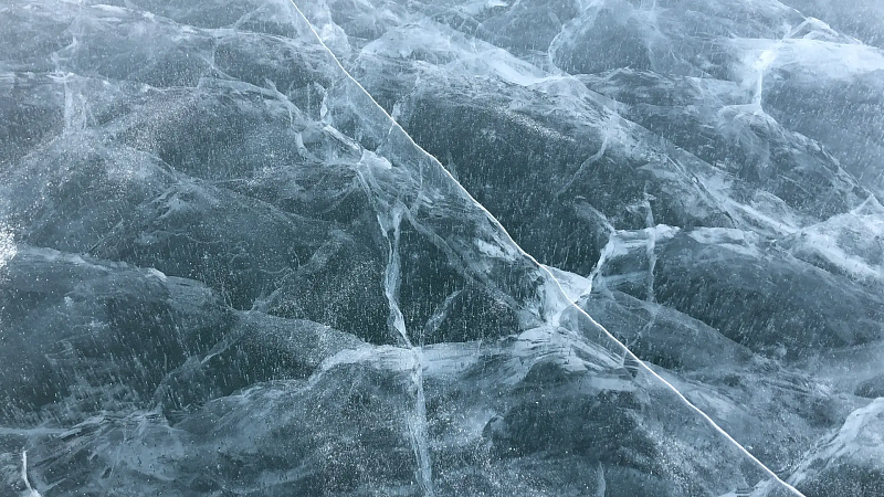 Появилось видео лижущего байкальский лед Шамана