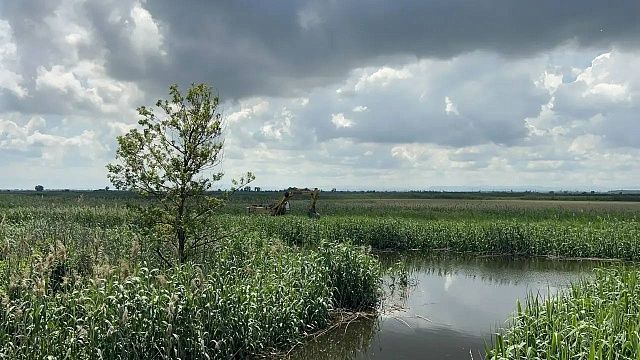 Более 2,2 тыс. га посевов подтопило после прорыва дамбы в Крымском районе Кубани