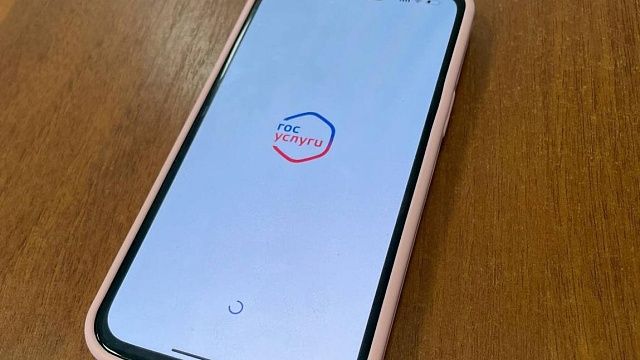 Фото: телеканал «Краснодар»