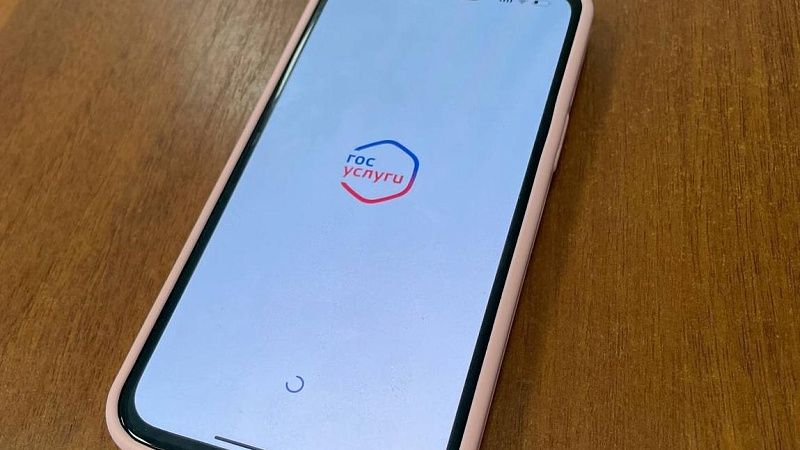 Жительница Подмосковья случайно узнала о смерти мужа через «Госуслуги»